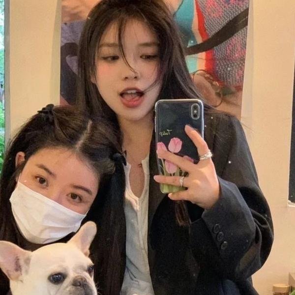 探长薇拉第十二季